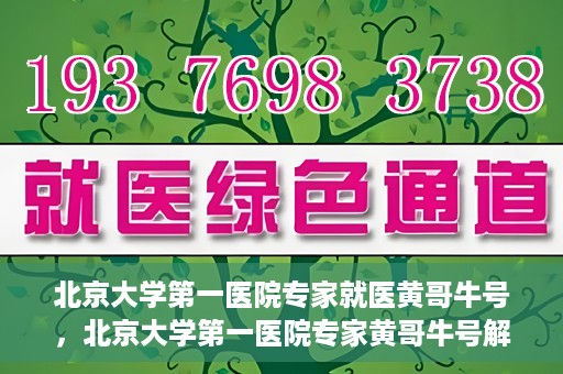 北京大学第一医院专家就医黄哥牛号，北京大学第一医院专家黄哥牛号解析就医秘籍