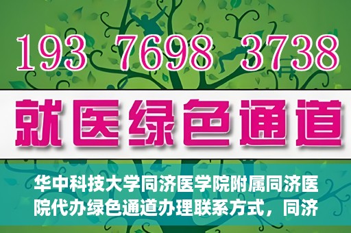 华中科技大学同济医学院附属同济医院代办绿色通道办理联系方式，同济医院绿色通道办理指南，联系方式及代办流程揭秘