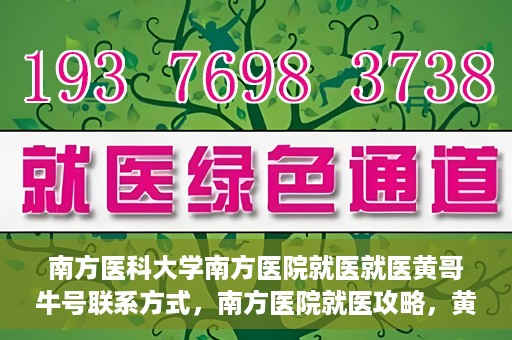 南方医科大学南方医院就医就医黄哥牛号联系方式，南方医院就医攻略，黄哥牛号联系方式揭秘