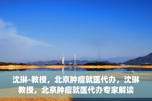 沈琳-教授，北京肿瘤就医代办，沈琳教授，北京肿瘤就医代办专家解读