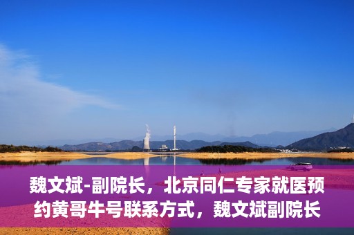 魏文斌-副院长，北京同仁专家就医预约黄哥牛号联系方式，魏文斌副院长北京同仁专家预约挂号联系方式，黄哥牛号就医指南