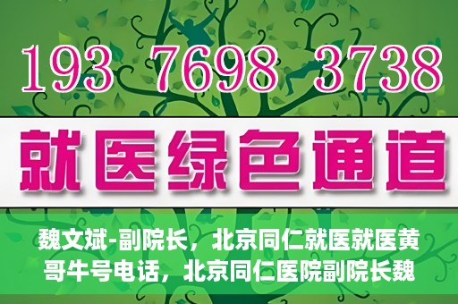 魏文斌-副院长，北京同仁就医就医黄哥牛号电话，北京同仁医院副院长魏文斌，黄哥牛号电话背后的就医故事探索