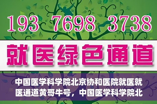 中国医学科学院北京协和医院就医就医通道黄哥牛号，中国医学科学院北京协和医院就医通道详解，黄哥牛号助您便捷就医