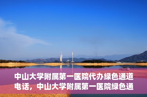 中山大学附属第一医院代办绿色通道电话，中山大学附属第一医院绿色通道代办服务热线揭秘