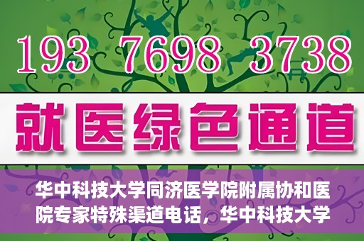 华中科技大学同济医学院附属协和医院专家特殊渠道电话，华中科技大学同济医学院附属协和医院专家特殊渠道专线电话揭秘