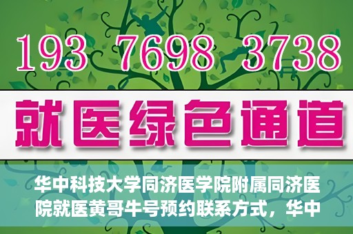 华中科技大学同济医学院附属同济医院就医黄哥牛号预约联系方式，华中科技大学同济医院黄哥牛号预约联系方式及就医指南