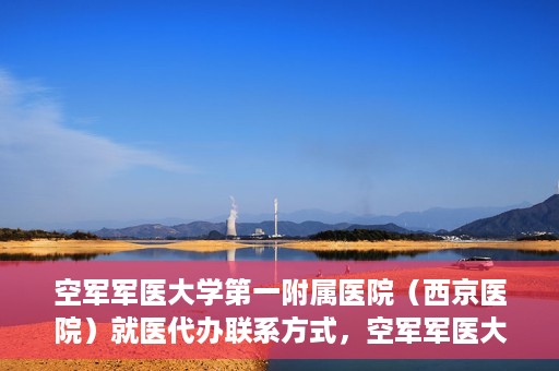 空军军医大学第一附属医院（西京医院）就医代办联系方式，空军军医大学第一附属医院（西京医院）就医代办服务指南与联系方式解读