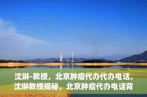 沈琳-教授，北京肿瘤代办代办电话，沈琳教授揭秘，北京肿瘤代办电话背后的真相