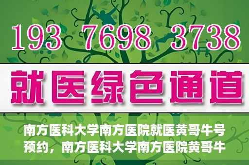 南方医科大学南方医院就医黄哥牛号预约，南方医科大学南方医院黄哥牛号预约就医攻略