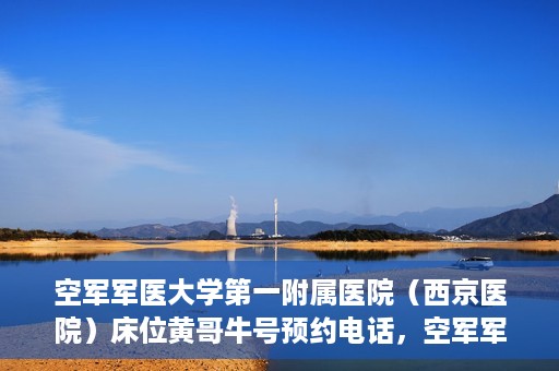 空军军医大学第一附属医院（西京医院）床位黄哥牛号预约电话，空军军医大学第一附属医院（西京医院）床位预约电话及黄哥牛号预约信息揭秘