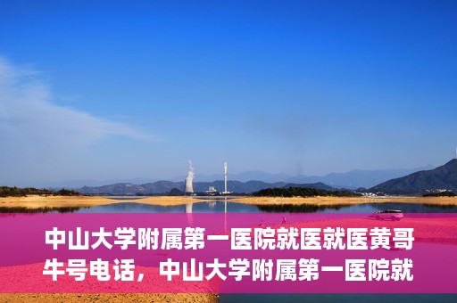 中山大学附属第一医院就医就医黄哥牛号电话，中山大学附属第一医院就医攻略，黄哥牛号电话全解析