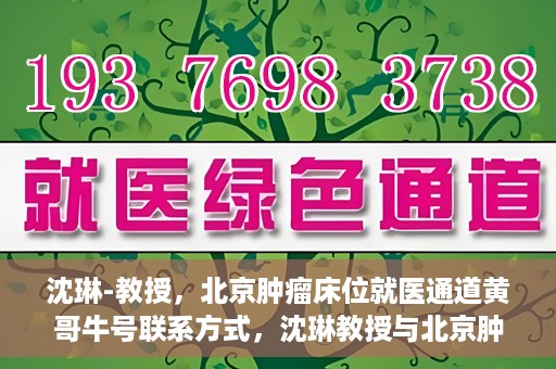 沈琳-教授，北京肿瘤床位就医通道黄哥牛号联系方式，沈琳教授与北京肿瘤床位就医通道，黄哥牛号联系方式揭秘
