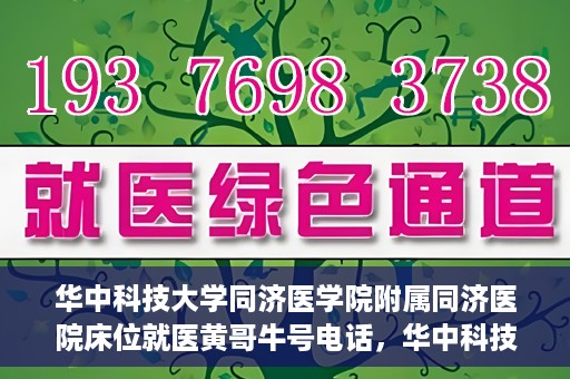 华中科技大学同济医学院附属同济医院床位就医黄哥牛号电话，华中科技大学同济医院床位预约就医信息及黄哥牛号联系电话解析