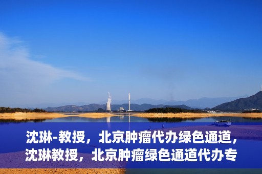 沈琳-教授，北京肿瘤代办绿色通道，沈琳教授，北京肿瘤绿色通道代办专家解读