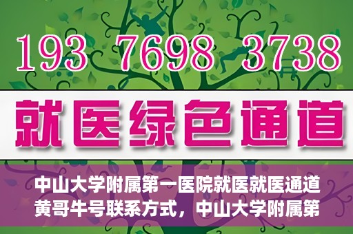 中山大学附属第一医院就医就医通道黄哥牛号联系方式，中山大学附属第一医院就医通道，黄哥牛号联系方式全解析