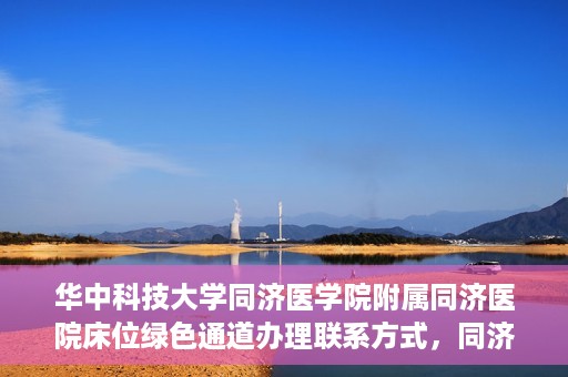 华中科技大学同济医学院附属同济医院床位绿色通道办理联系方式，同济医院床位绿色通道办理指南，联系信息及办理流程揭秘
