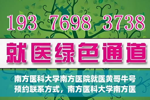 南方医科大学南方医院就医黄哥牛号预约联系方式，南方医科大学南方医院黄哥牛号预约挂号联系方式揭秘