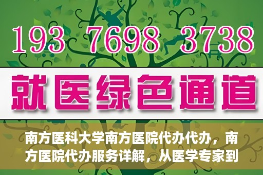 南方医科大学南方医院代办代办，南方医院代办服务详解，从医学专家到您的贴心助手