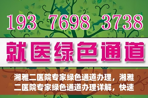 湘雅二医院专家绿色通道办理，湘雅二医院专家绿色通道办理详解，快速就医新途径揭秘
