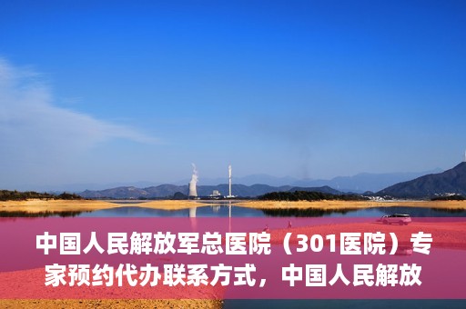 中国人民解放军总医院（301医院）专家预约代办联系方式，中国人民解放军总医院（301医院）专家预约咨询与联系方式全解析