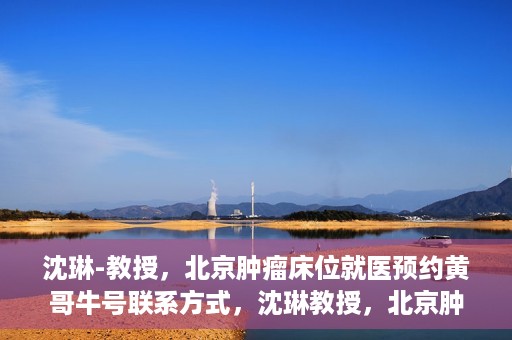 沈琳-教授，北京肿瘤床位就医预约黄哥牛号联系方式，沈琳教授，北京肿瘤床位预约热线及就医指南——黄哥牛号联系方式揭秘