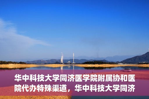 华中科技大学同济医学院附属协和医院代办特殊渠道，华中科技大学同济医学院附属协和医院特殊渠道代办服务解析