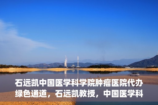 石远凯中国医学科学院肿瘤医院代办绿色通道，石远凯教授，中国医学科学院肿瘤医院开通绿色通道助力患者就医体验优化