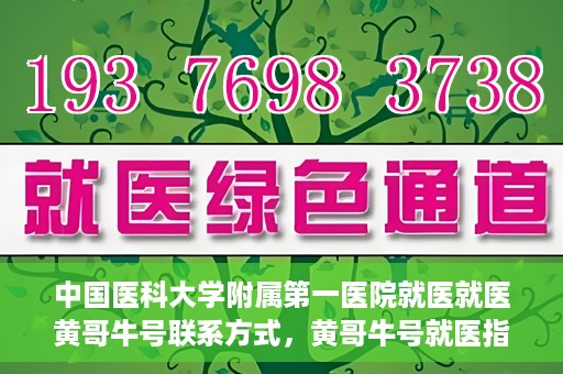 中国医科大学附属第一医院就医就医黄哥牛号联系方式，黄哥牛号就医指南，中国医科大学附属第一医院联系方式揭秘