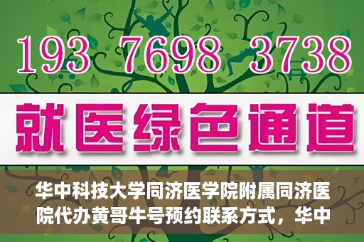 华中科技大学同济医学院附属同济医院代办黄哥牛号预约联系方式，华中科技大学同济医院黄哥牛号预约联系方式及代办服务解析