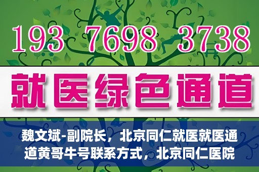 魏文斌-副院长，北京同仁就医就医通道黄哥牛号联系方式，北京同仁医院副院长魏文斌与就医通道，黄哥牛号联系方式揭秘