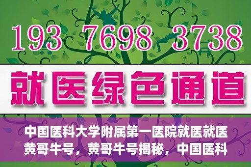 中国医科大学附属第一医院就医就医黄哥牛号，黄哥牛号揭秘，中国医科大学附属第一医院就医攻略与体验分享