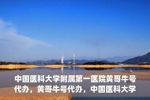 中国医科大学附属第一医院黄哥牛号代办，黄哥牛号代办，中国医科大学附属第一医院挂号服务新动向