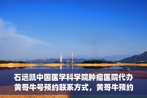 石远凯中国医学科学院肿瘤医院代办黄哥牛号预约联系方式，黄哥牛预约挂号联系方式，石远凯教授在中国医学科学院肿瘤医院的服务指南