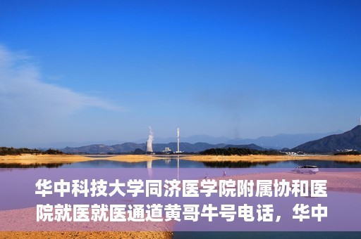华中科技大学同济医学院附属协和医院就医就医通道黄哥牛号电话，华中科技大学同济医学院附属协和医院就医通道详解，黄哥牛号电话一键通预约就医服务