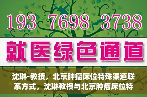 沈琳-教授，北京肿瘤床位特殊渠道联系方式，沈琳教授与北京肿瘤床位特殊渠道，权威解读与联系方式揭秘