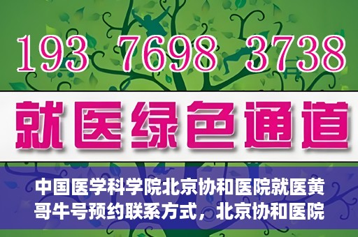 中国医学科学院北京协和医院就医黄哥牛号预约联系方式，北京协和医院黄哥牛号预约挂号联系方式揭秘，权威医学专家预约攻略
