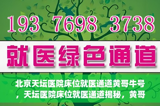 北京天坛医院床位就医通道黄哥牛号，天坛医院床位就医通道揭秘，黄哥牛号助您轻松就医
