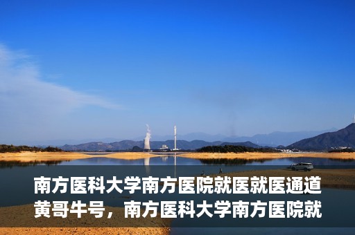 南方医科大学南方医院就医就医通道黄哥牛号，南方医科大学南方医院就医通道解析，黄哥牛号的就医之旅