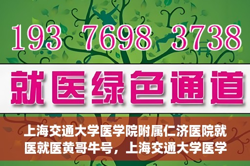 上海交通大学医学院附属仁济医院就医就医黄哥牛号，上海交通大学医学院附属仁济医院就医黄哥牛号解析与体验