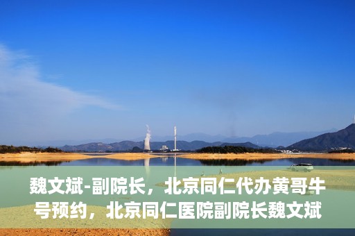 魏文斌-副院长，北京同仁代办黄哥牛号预约，北京同仁医院副院长魏文斌揭秘，黄哥牛号预约代办背后的故事
