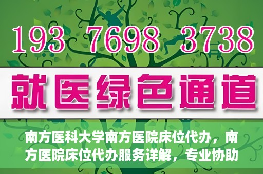 南方医科大学南方医院床位代办，南方医院床位代办服务详解，专业协助，解决床位难题