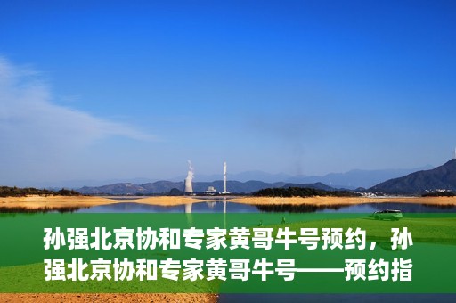 孙强北京协和专家黄哥牛号预约，孙强北京协和专家黄哥牛号——预约指南