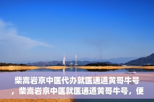 柴嵩岩京中医代办就医通道黄哥牛号，柴嵩岩京中医就医通道黄哥牛号，便捷就医新选择