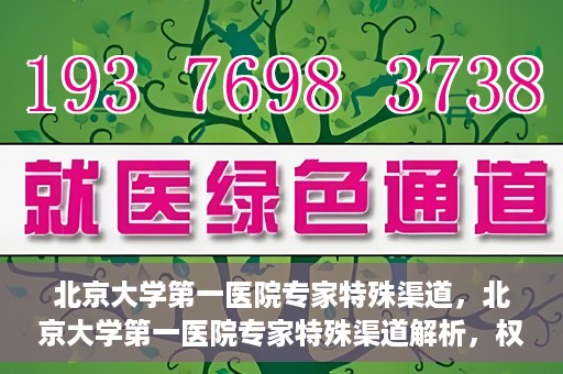 北京大学第一医院专家特殊渠道，北京大学第一医院专家特殊渠道解析，权威医疗资源的独特路径探索