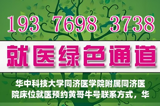 华中科技大学同济医学院附属同济医院床位就医预约黄哥牛号联系方式，华中科技大学同济医院床位预约联系方式及黄哥牛号揭秘