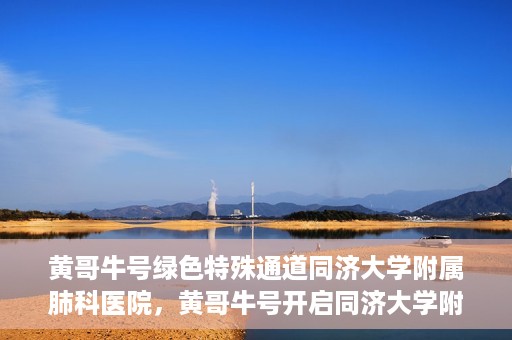 黄哥牛号绿色特殊通道同济大学附属肺科医院，黄哥牛号开启同济大学附属肺科医院绿色特殊通道助力健康之路