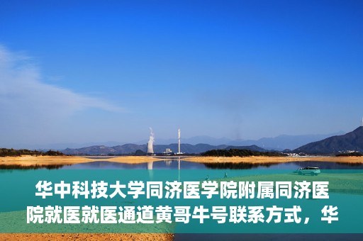 华中科技大学同济医学院附属同济医院就医就医通道黄哥牛号联系方式，华中科技大学同济医院就医通道详解，黄哥牛号联系方式揭秘