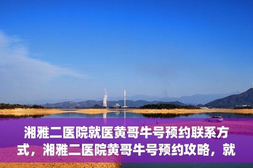 湘雅二医院就医黄哥牛号预约联系方式，湘雅二医院黄哥牛号预约攻略，就医联系方式全解析