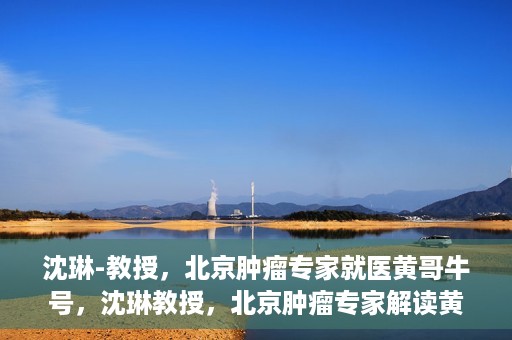 沈琳-教授，北京肿瘤专家就医黄哥牛号，沈琳教授，北京肿瘤专家解读黄哥牛号就医秘籍