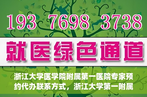 浙江大学医学院附属第一医院专家预约代办联系方式，浙江大学第一附属医院专家预约代办服务指南，快速便捷联系方式揭秘